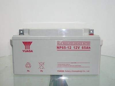 YUASA蓄电池NP100-12参数报价
