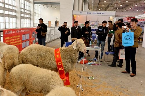 2018中国(武汉)国际畜牧业交易会 全国招商中