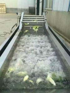 卓远厂家供应蔬菜水果清洗机 不锈钢网带清洗机 **