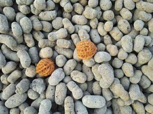 滁州建筑陶粒价格，滁州陶粒销售
