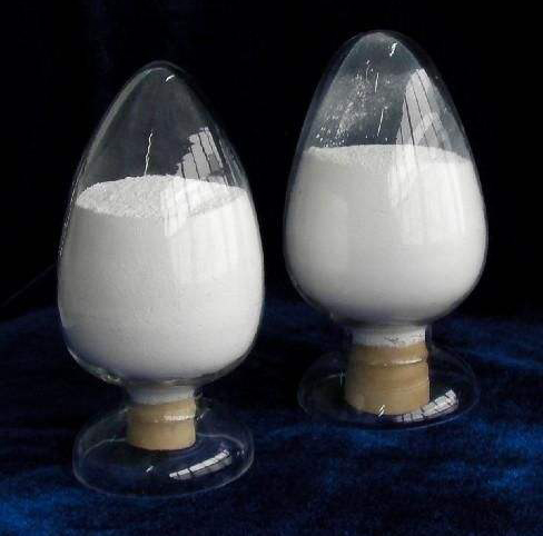 仙人掌提取物 仙人掌多糖原粉 高纯度品质保证