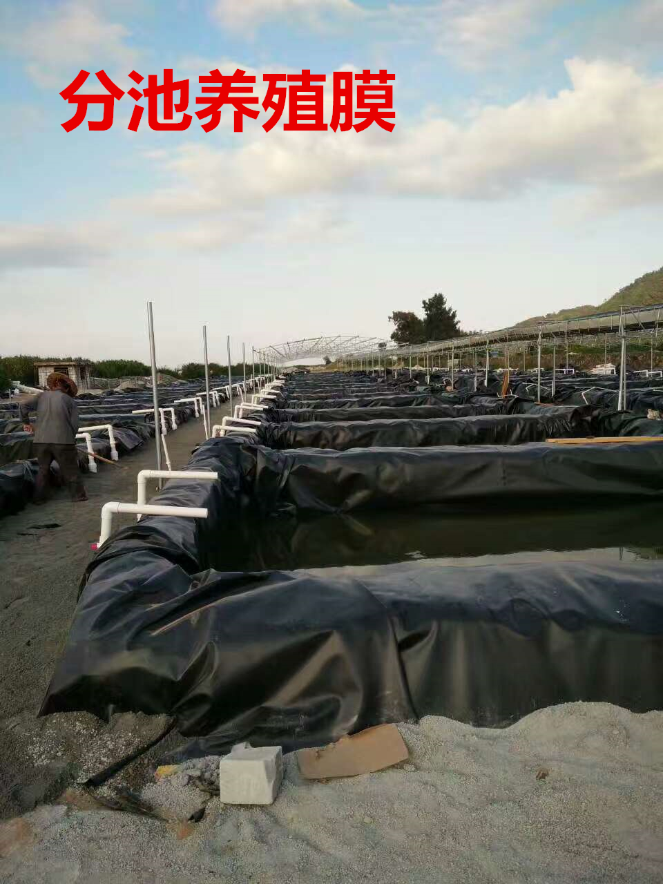 静海县植被网厂家供应静海县三维植被网护坡植被网图片