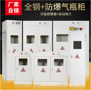 气瓶柜/危险气体安全储存柜