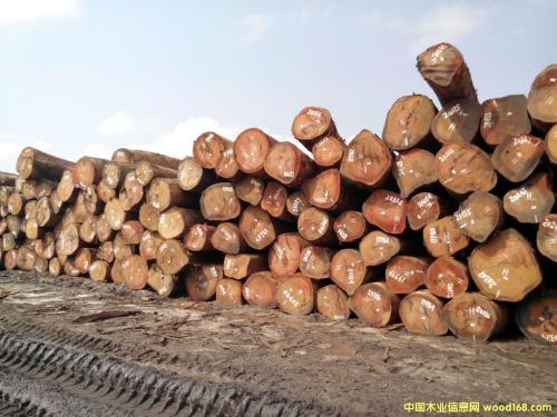 上海木材进口报关公司