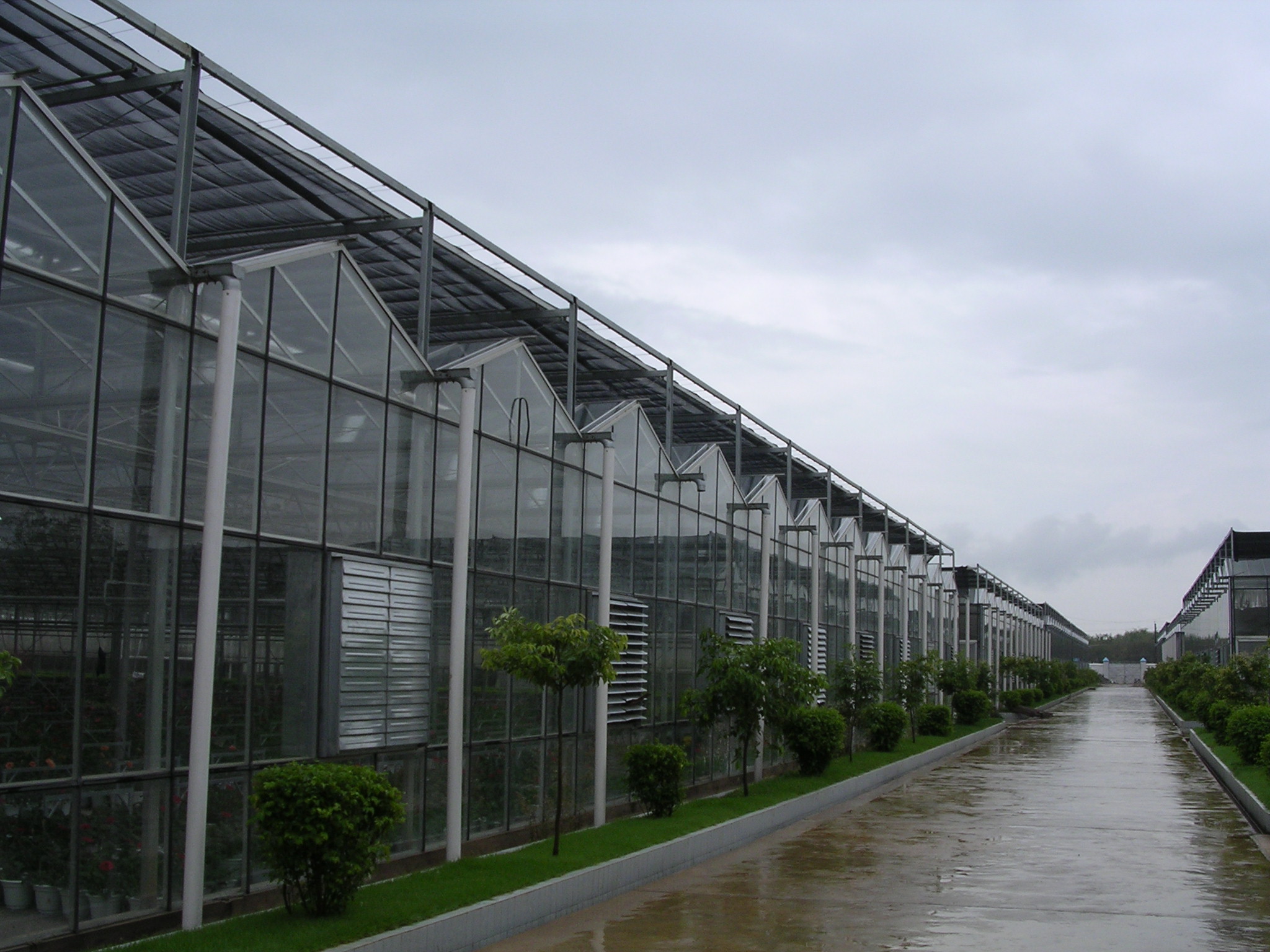 温室大棚造价 智能连栋玻璃温室山东豪达瑞科温室