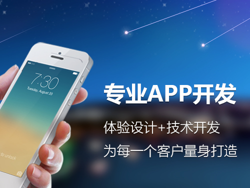 上海软件开发网站建设app开发