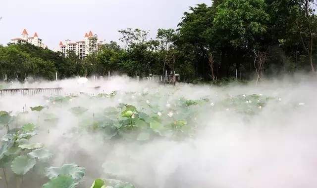 重庆 旅游景区景观造雾工程让人都惊呆了