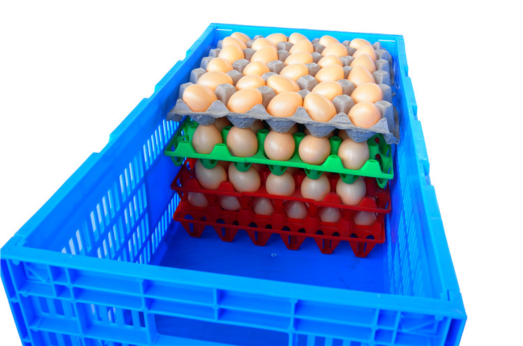 上海塑料折叠蛋筐防压折叠鸡蛋筐