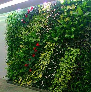 上海植物墙公司上海绿化墙公司上海垂直植物墙公司