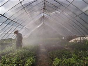 喷雾降温设备用在大棚种植好吗