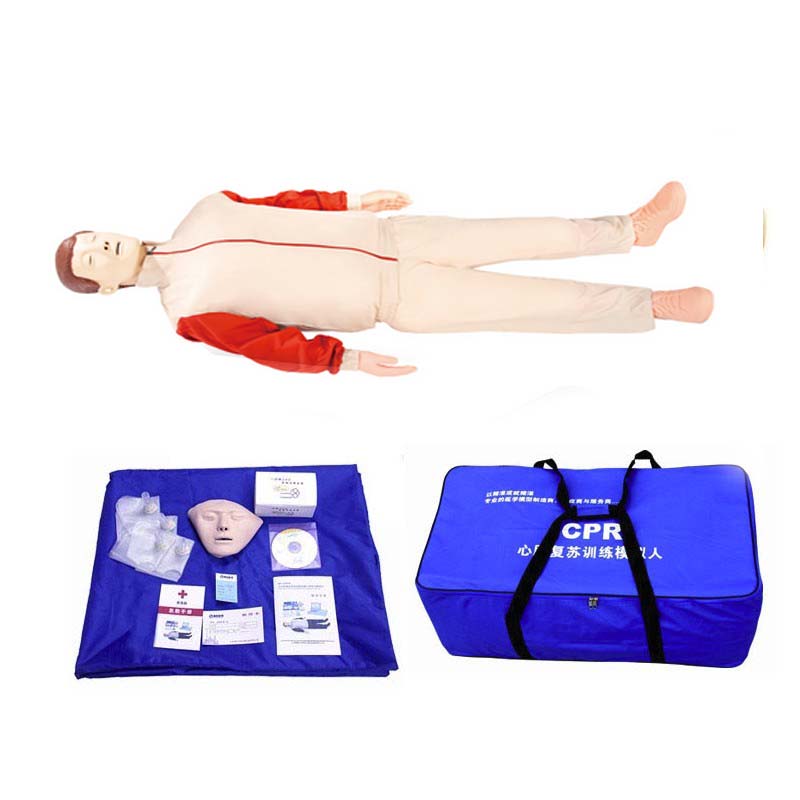 RY/BLS950心肺复苏AED除颤|创伤模拟人