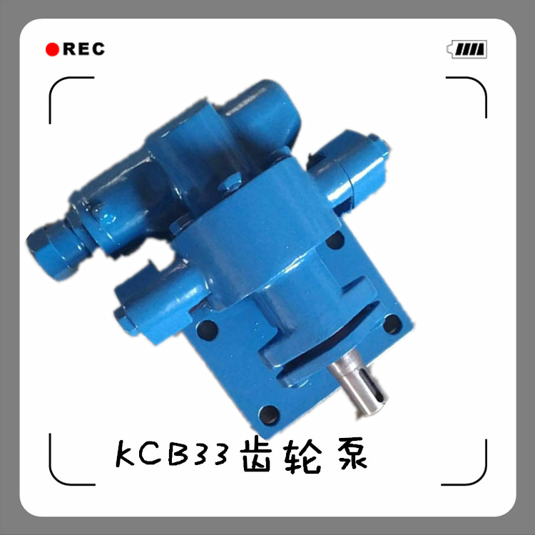 厂家直销KCB55齿轮泵齿轮油泵小型泵微型泵泊头金海不锈钢齿轮泵