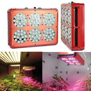 高性价比厂家供应200W LED植物灯，植物迷你灯，温室大棚种植