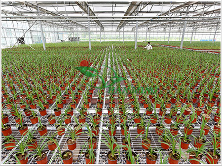 玉溪草莓立体种植槽 省时省工又增效
