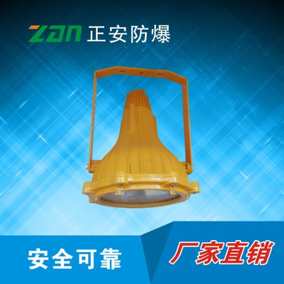 隆业电气 ZAD913JY-250/220防爆投光灯