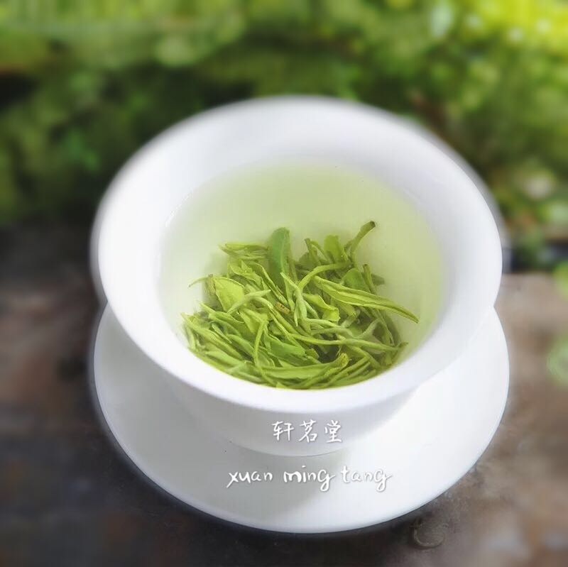 河南郑州信阳毛尖，绿茶，红茶，高中低端茶叶批发