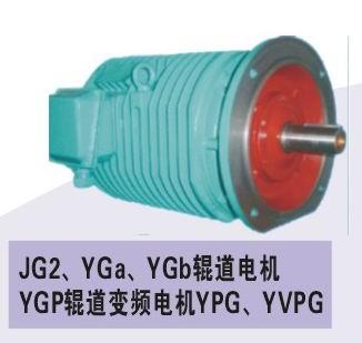 专业生产YG辊道电机厂家直销