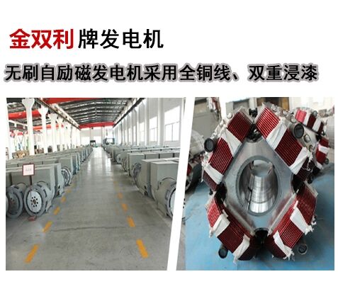 江苏地区柴油发电机专业生产厂家江苏金双利 JSI-14型纯铜无刷发电机 欢迎选购