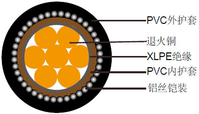 上海特润600/1000V XLPE绝缘, PVC护套, 铠装电力缆 单芯