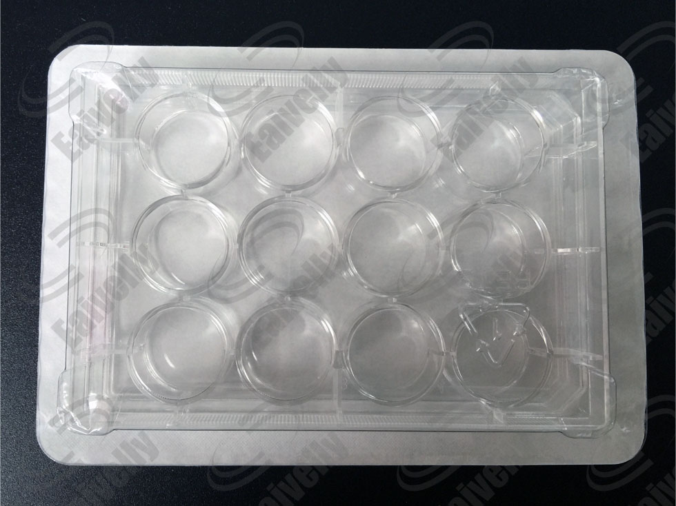 12孔细胞培养板 独立纸塑包装 TC处理