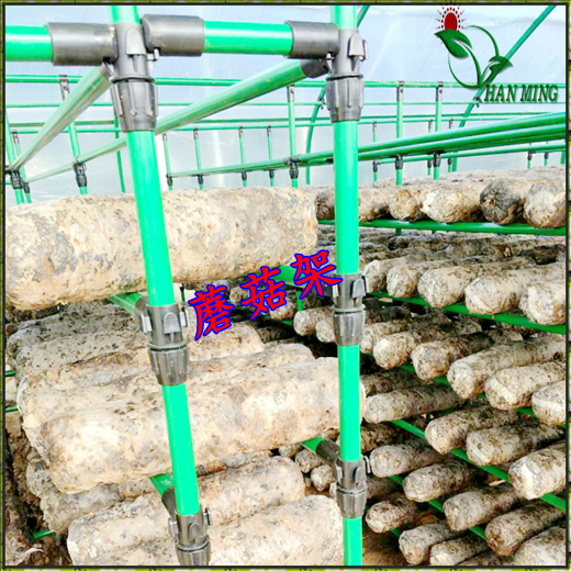 供应山东威海可定做蘑菇网片蘑菇架金刚网花卉苗床移动潮汐自动苗床厂家
