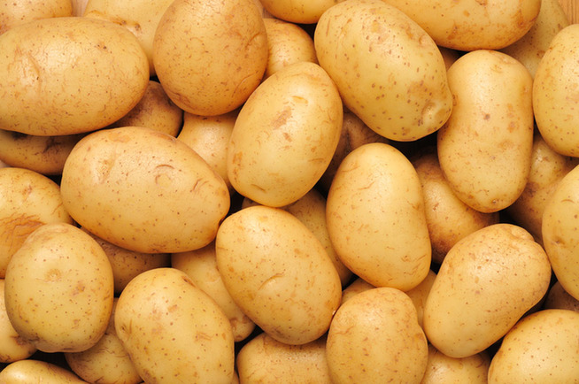 土豆销售