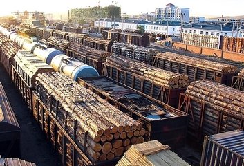 进口俄罗斯木材到重庆港了急需一家专业的清关公司清关