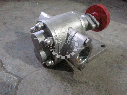 KCB小流量不锈钢齿轮泵,不锈钢泵,KCB齿轮泵磨损小,效率高