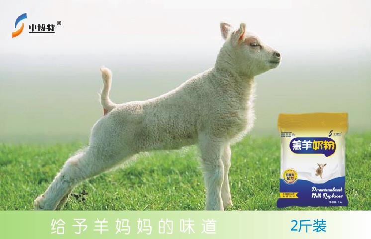 小羊吃完初乳再吃的奶粉北京中博特羔羊奶粉