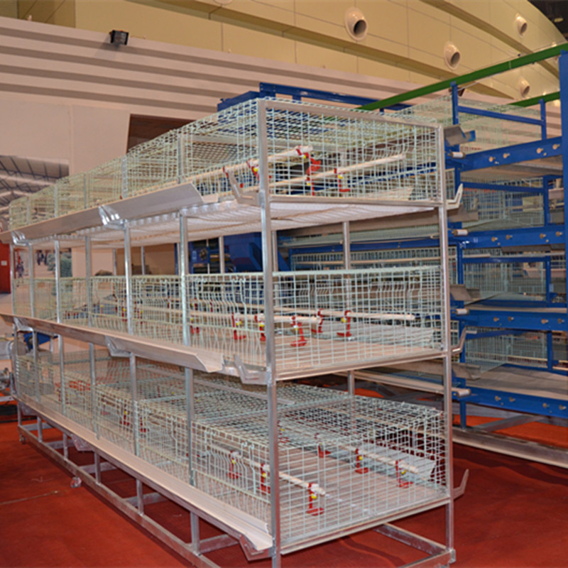 河南中州鸡笼厂 三到四层育雏鸡笼 全国销售