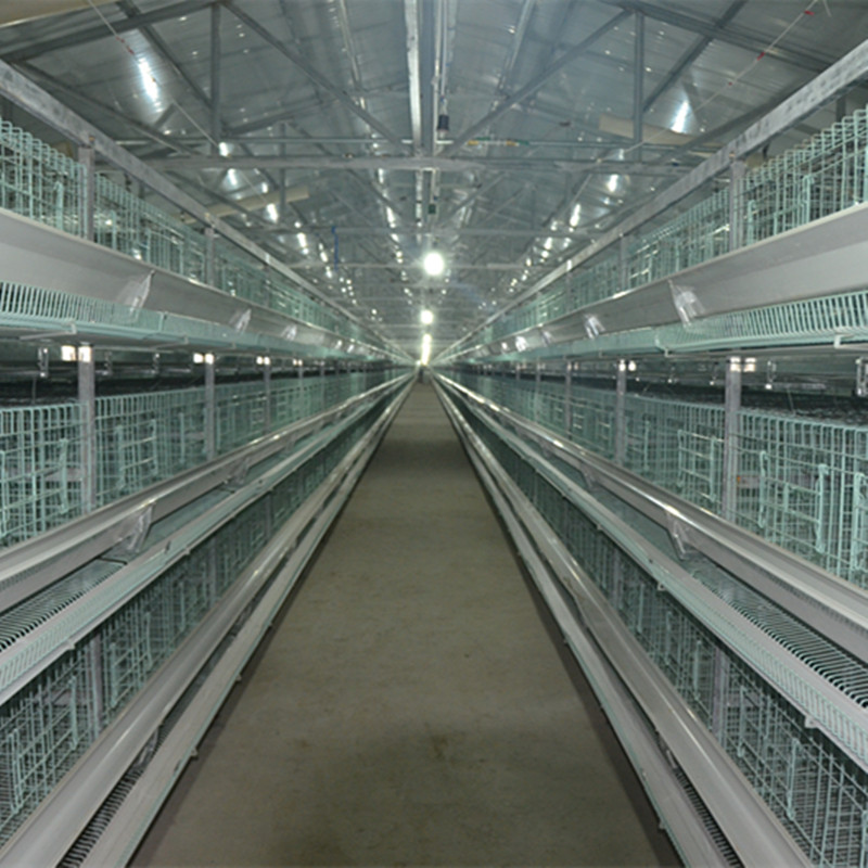 鸡笼厂 三到十层叠鸡笼 蛋鸡/肉鸡设备