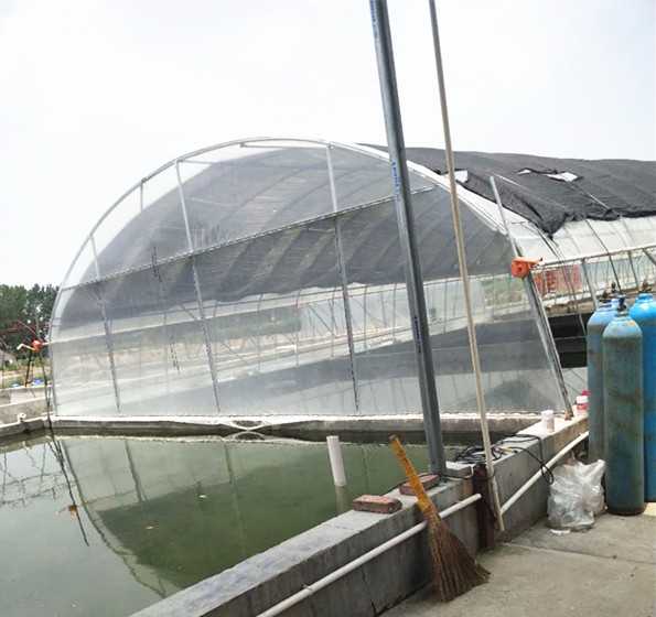 观赏鱼专业养殖镇平县众发合作社