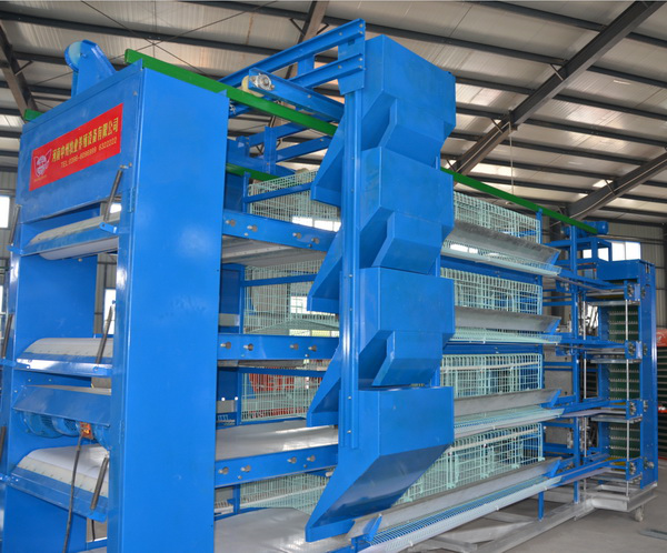 中州鸡笼厂 四层层叠式鸡笼 自动化鸡笼