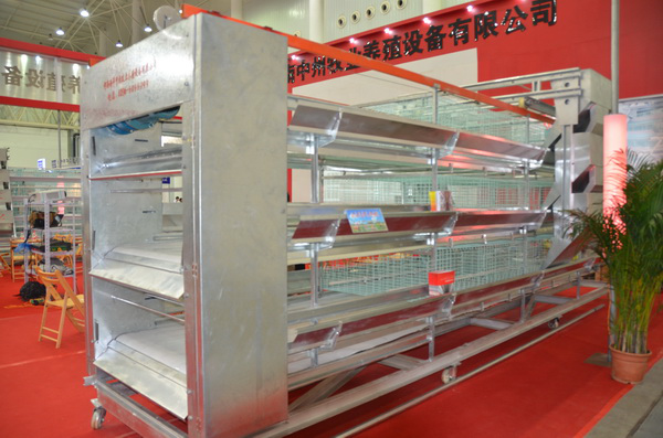 中州鸡笼厂 三层层叠鸡笼 自动化鸡笼 专业品牌