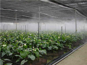 园林绿化雾喷冷雾系统工程技术