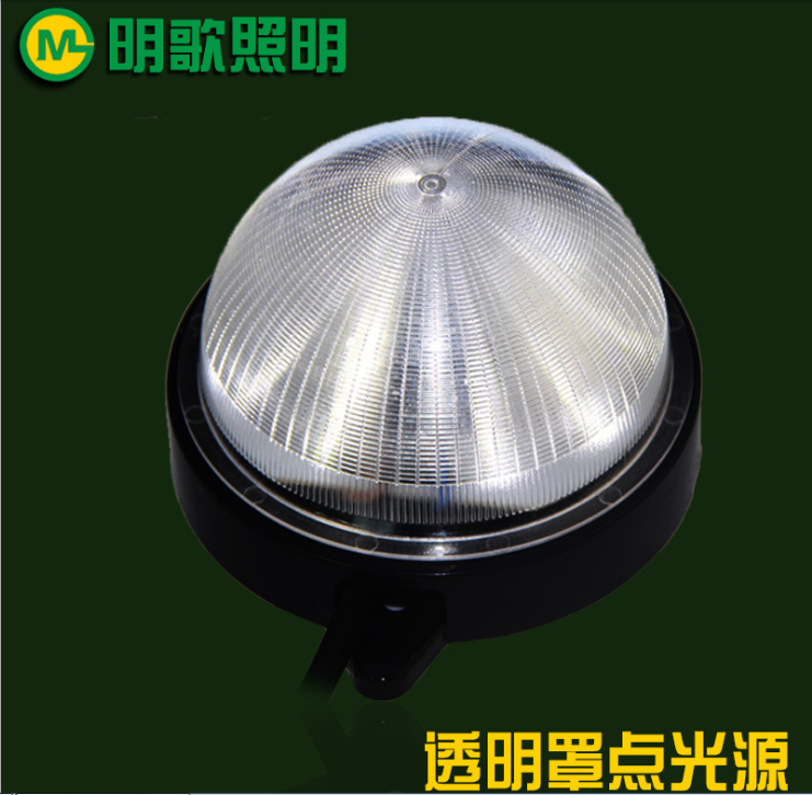 LED点光源户外防水5050贴片单色 IP68全彩点光源户外装饰灯