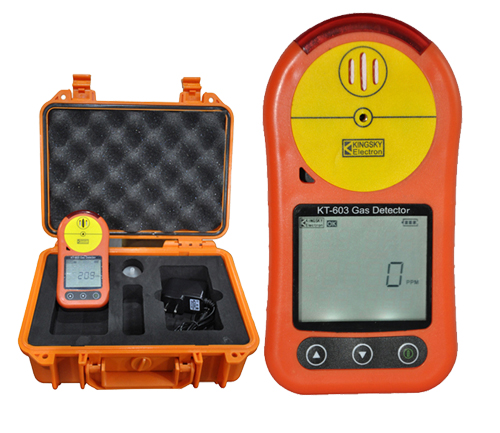 泵吸式气体检测仪|便携式可燃有毒气体浓度泄漏报警仪|KT-605型