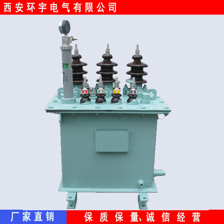 上海油浸式电压器