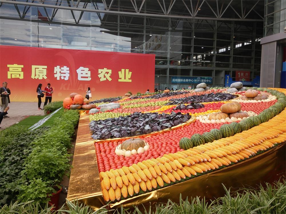 2019云南国际农业博览会时间