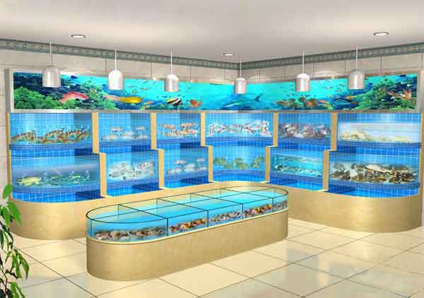 广州定做鱼池，花地湾水族店有玻璃鱼池吗，广州海鲜鱼池哪家公司好，海鲜玻璃鱼池定做安装