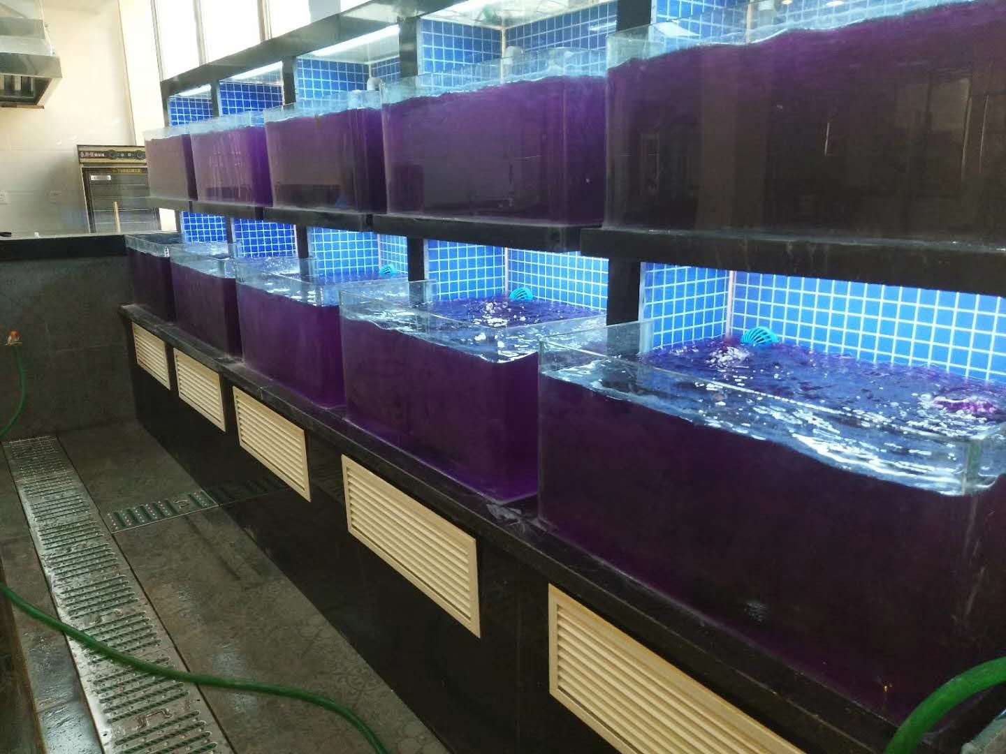 广州云港路可以清洗鱼池，广州5号停机坪购物广场海鲜玻璃鱼缸清洗换水，广州海鲜鱼池上门换水消毒