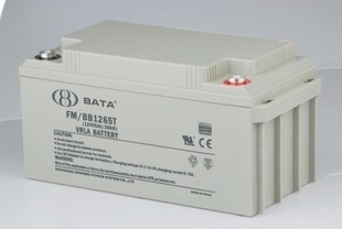 鸿贝FM/BB1265T蓄电池 12V65AH应急电源 EPS鸿贝蓄电池