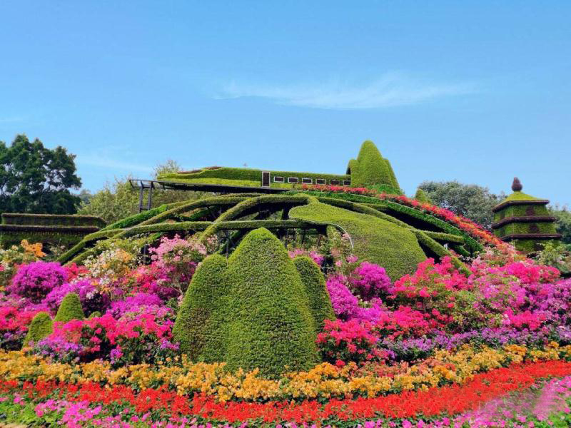 深圳绿雕五色草植物雕塑大型立体花坛设计制作施工