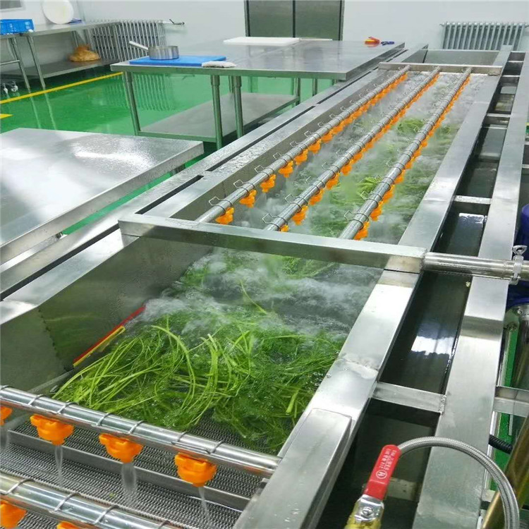 厂家供应全自动果蔬清洗机果蔬加工设备
