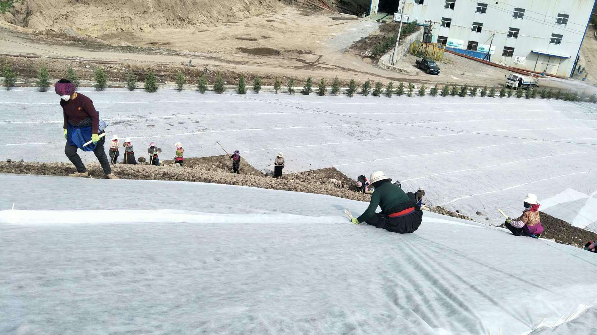 山体草坪绿化，专业喷播植草