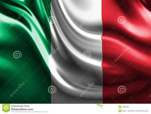 意大利进口专业进口清关代理公司