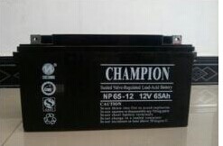冠军蓄电池NP80-12 12V80AH
