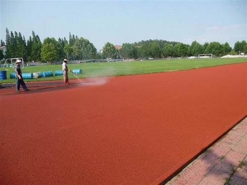 常州乐赛施工南京学校塑胶跑道供应阻燃性耐磨性混合型塑胶跑道材料