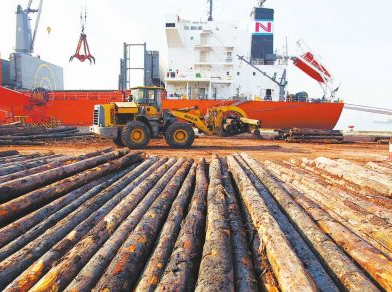 东南亚欧美非洲进口木及木制类产品专题——进口木产品