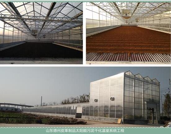 供应煜林枫太阳能皮革污泥干化处理系统设备
